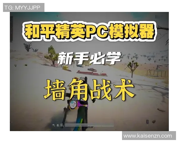 和平精英焦点：TES的战术探讨